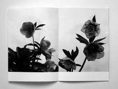 옳다고 생각되는 일을 이행할 뿐,