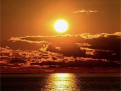 이 한로 자소서