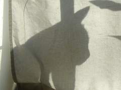 [고죠게토] 잔열 中