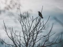 [희신강징] 나를 잊지 말아요 上