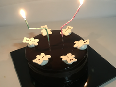 널 자랑하는 글을 쓰려면 몇 날 며칠을 밤새워야 할 거야