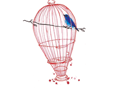 [켄히나쿠로 / 쿠로히나켄] 파랑새