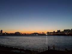 G&rsquo;day, Taxi driver