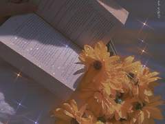 해리른 썰 백업