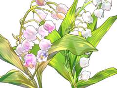 [유료]은방울꽃 브러쉬