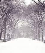 [사쿠아츠] 책임의 무게 / Burden of Blame