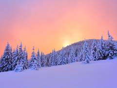 [시목동재] 유령의 해피엔딩