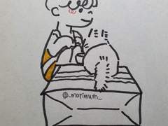 박스 고양이 밥 주기