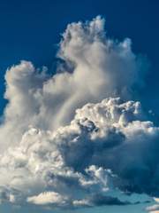 뜰팁 단편 연성