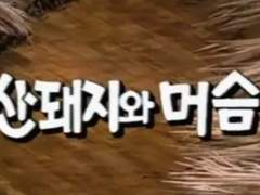 [은비까비의 옛날옛적에] 산돼지와 머슴