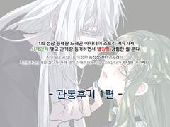 에리티 관통후기 1편