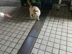 김납이의 눈에는 시체가 꽃으로 보이지 않는다. GL