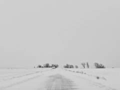 사실은, 그럼에도 불구하고.