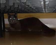 유진의 침대 밑 괴물