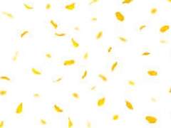 [미하베] 열락화