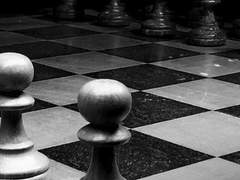 미야하라 사토미, tenebris