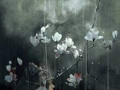 拨雪寻春，烧灯续昼 ―0