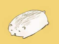 인스타 그램 틀 배포