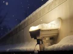 메이플 200 찍음