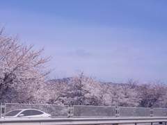 숙제가 없다는건 행복해