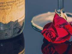 ✦수상한 이웃들과 바다로!✦