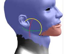 입이 움직이는 남성용 헤드 모델