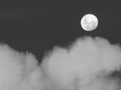 뭔지 모르겠다면 나도 곤란한걸.