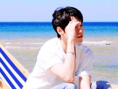 한여름의 블루마운틴