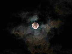 [미스터 선샤인/구동매] 배신자 뒷이야기