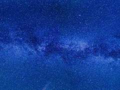 [루리카와 치에리/3학년/국화부 학생회]