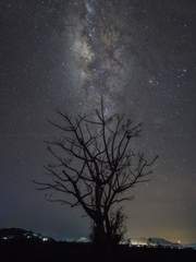 내가 키운 S급들