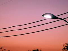 쓸 데 없는 망상