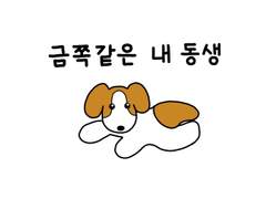 36. 금쪽같은 내 동생