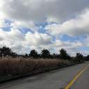 밤이 외롭지는 않아✍