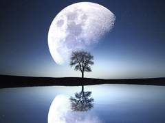 고요한 밤이 스러질 때