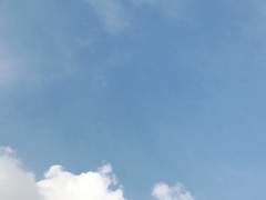 무명의 범을 위하여!中