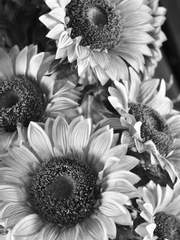 악녀, 거짓말하다