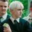 Draco.