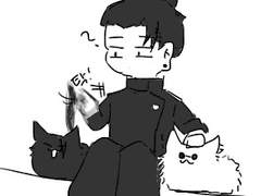 게토고죠...와...냥이들....