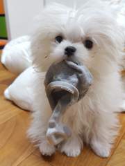 어쩌다 보니 룸메이트가 생겼다