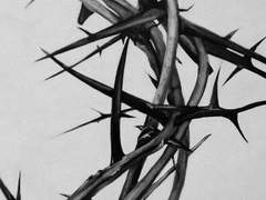 [태구화평] UNDER COVER 8