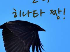 [히나른ts] 일진, 히나타 짱! [Episode 5]