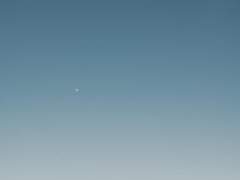 [남궁연우/XX/29]