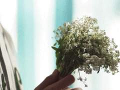 들꽃의 세레나데