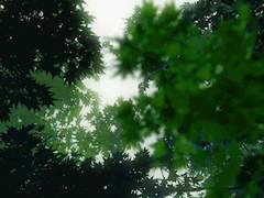 비연사애 28.방학의 시작은 보충의 시작