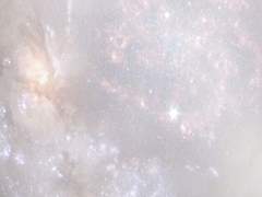 [ 유혜민 / F / 19 / 서양마법 ]