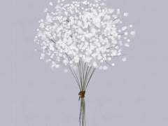 이세계와 난수와 백합인 나?!