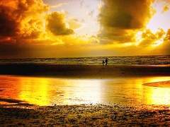 끝없는 금빛에 나는,