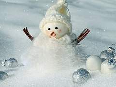 다시 돌아오는 계절에