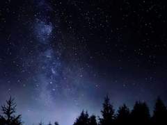 이 백로 자소서